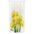 thumbnail image 1 of Daffodil Stall Shower Curtain, Digital Watercolors Paint of Daffodils Bouquet Called Jonquils in England Lily, Fabric Bathroom Set with Hooks, 36W X 72L Inches Long, Yellow Green, by Ambesonne, 1 of 1