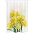 thumbnail image 1 of Daffodil Stall Shower Curtain, Digital Watercolors Paint of Daffodils Bouquet Called Jonquils in England Lily, Fabric Bathroom Set with Hooks, 54W X 78L Inches, Yellow Green, by Ambesonne, 1 of 1