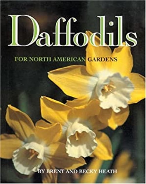 Pre-Owned Daffodils: For North American Gardens (Hardcover) 0970472978 9780970472977