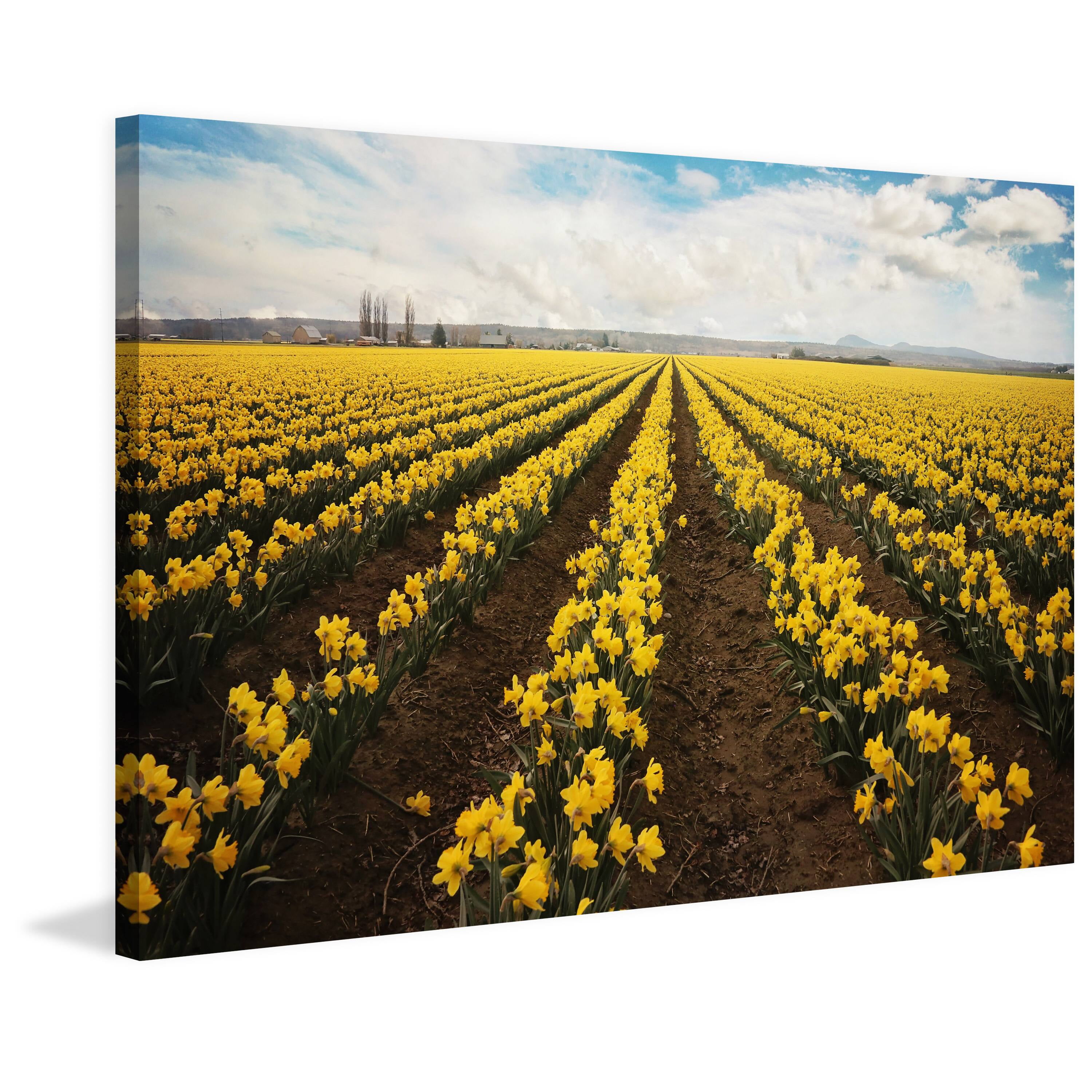 "Daffodils Forever" Painting Print on Wrapped Canvas