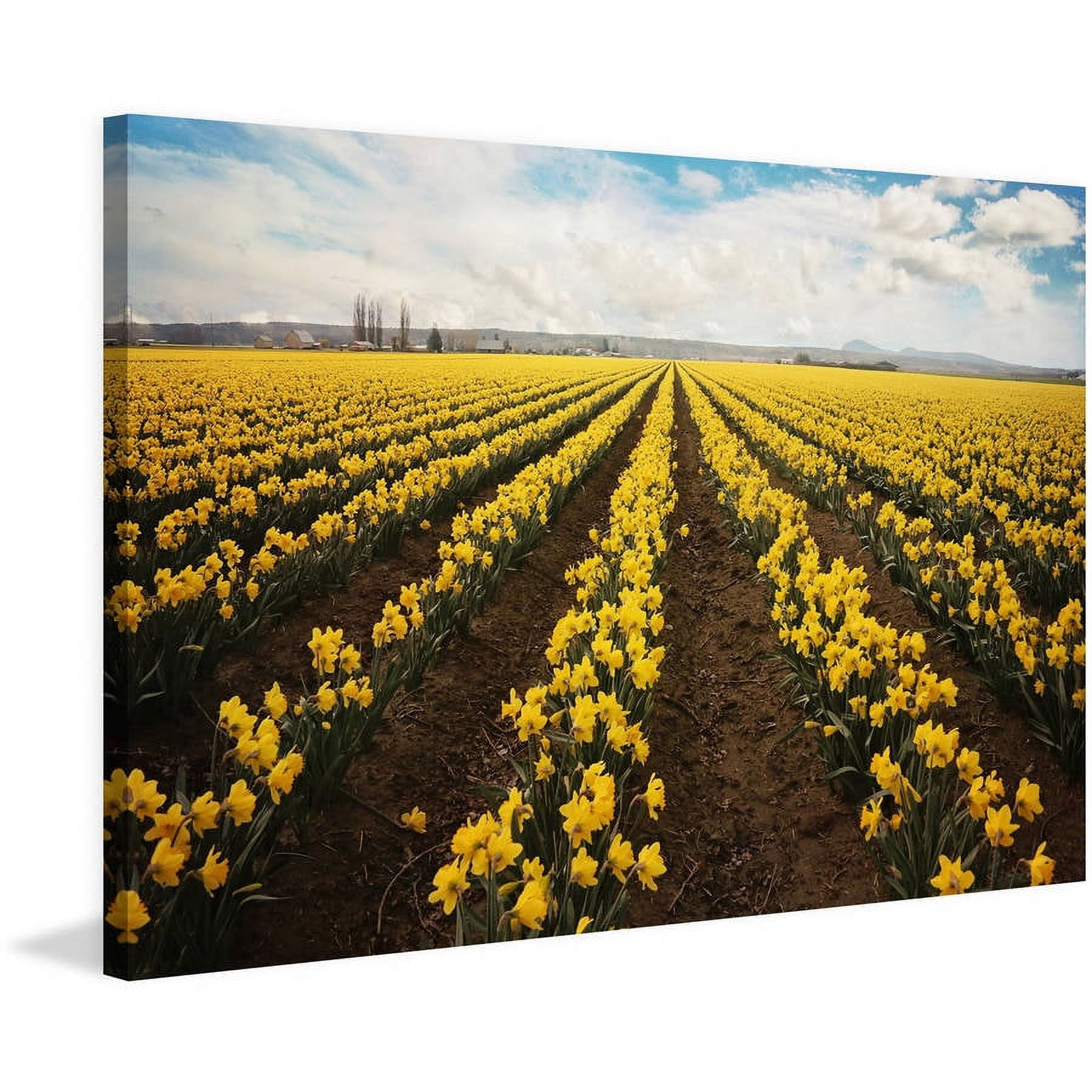 "Daffodils Forever" Painting Print on Wrapped Canvas