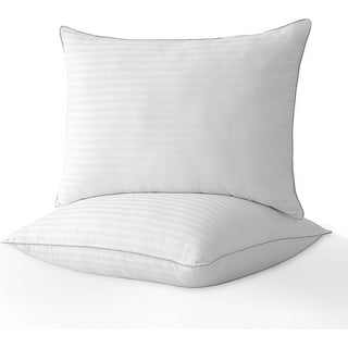  EDOW Throw Pillow Inserts, Set of 2 Lightweight Down