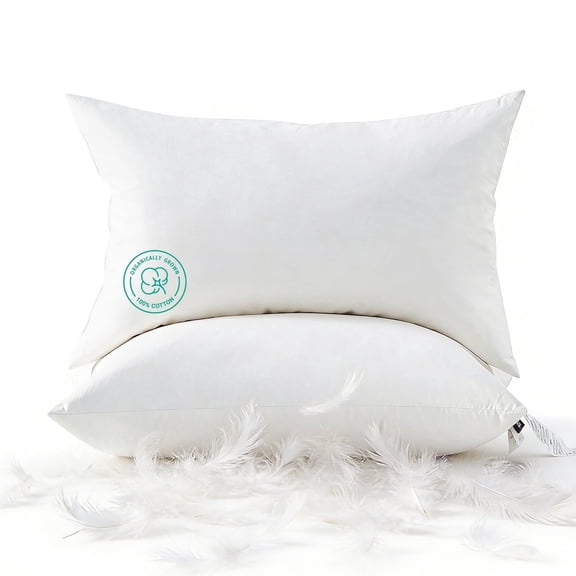 Dafinner Organic Cotton Goose Feather Down Throw Pillow Inserts, 12x20 Inch, Set of 2, Soft & Supportive Lumbar Pillow Insert, Decorative Pillow Forms Core for Living Room Couch, Sofa, or Bed