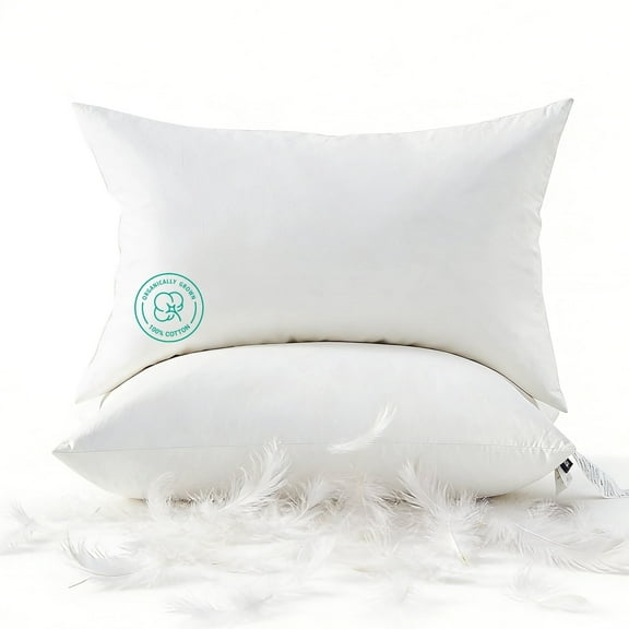 Dafinner Organic Cotton Goose Feather Down Throw Pillow Inserts, 14x22 Inch, Set of 2, Soft & Supportive Lumbar Pillow Insert, Decorative Pillow Forms Core for Living Room Couch, Sofa, or Bed