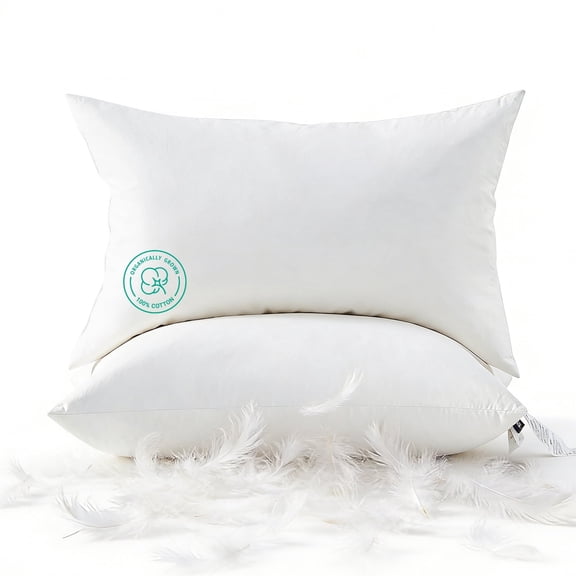 Dafinner Organic Cotton Goose Feather Down Throw Pillow Inserts, 14x22 Inch, Set of 2, Soft & Supportive Lumbar Pillow Insert, Decorative Pillow Forms Core for Living Room Couch, Sofa, or Bed