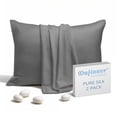 thumbnail image 1 of Dafinner Luxury Set of 2 Pure Mulberry Silk Pillowcases with Hidden Zipper Standard Size, Silky Pillow Cases for Skin & Hair (20x26, Grey), 1 of 9