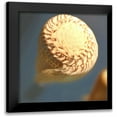thumbnail image 1 of Dag, Inc. 12x12 Black Modern Framed Museum Art Print Titled - Underwater World 38, 1 of 5