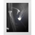 thumbnail image 1 of Dag, Inc. 12x14 White Modern Wood Framed Museum Art Print Titled - Underwater World 4, 1 of 4