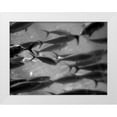 thumbnail image 1 of Dag, Inc. 24x19 White Modern Wood Framed Museum Art Print Titled - Underwater World 31, 1 of 4