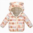 thumbnail image 1 of Dagaeig Infant Jacket Toddler Winter Coat Girls Boys Puffer Jacket Lightweight Kids Outerwear 2-3 Years, 1 of 7