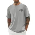 thumbnail image 1 of Dagegui Everyday T-Shirt for Men Casual Crewneck Short Sleeve Tops Summer Loose Fit Tees Palm Tree Graphic Beach Vacation Shirt Light Gray M, 1 of 4