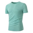 thumbnail image 1 of Dagegui Men's Ribbed T-Shirt Green Crewneck Short Sleeve Slim Fit Muscle Workout Tee Soft Comfy Everyday Shirts for Summer 3X, 1 of 9