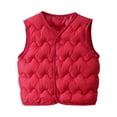 thumbnail image 1 of Dagugfen Fall Winter Baby Clothes Vests Button down Warm Solid Color Textured Quilted Jackets 1-7 Years, 1 of 5