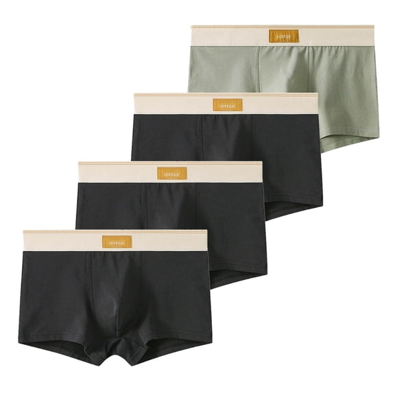 Dagugfen Men Underwear 4 Pc Breathable Lightweight Wicking Comfy Underpants Boxers Briefs for Everyday
