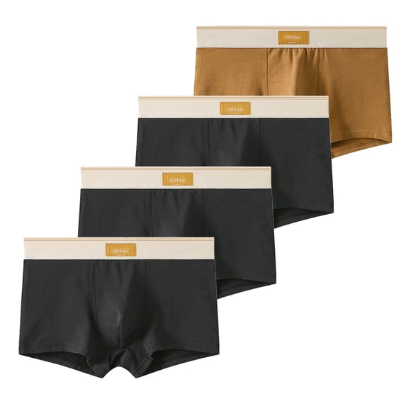 Dagugfen Men Underwear 4 Pc Breathable Lightweight Wicking Comfy Underpants Boxers Briefs for Everyday