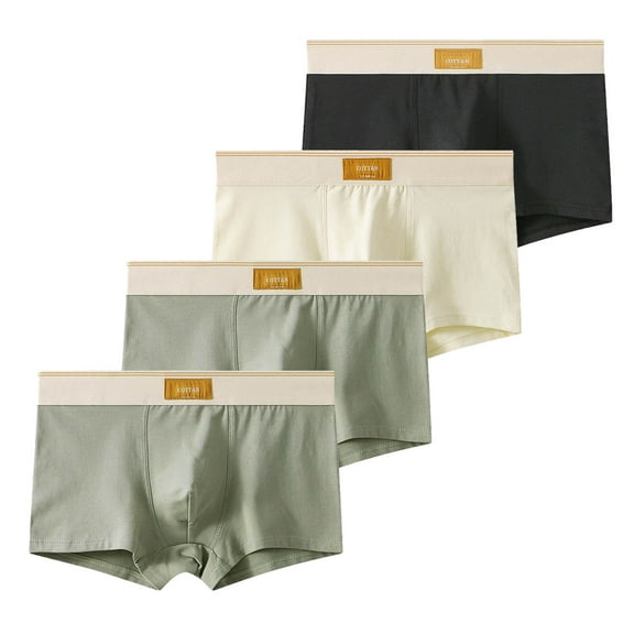 Dagugfen Men Underwear 4 Pc Breathable Lightweight Wicking Comfy Underpants Boxers Briefs for Everyday