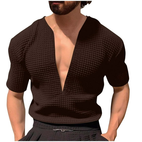 Dagugfen Mens T Shirts Summer V Neck Short Sleeve Loose Vacation Travel Casual Tee Tops Solid Color