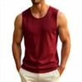 thumbnail image 1 of Dagugfen Workout Tank Tops for Men Mesh Breathable Regular Fitted Sleeveless Crew Neck Basic Layer Tops Summer Outdoor Activewear Tanks, 1 of 7