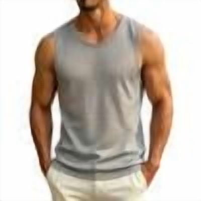 Dagugfen Workout Tank Tops for Men Mesh Breathable Regular Fitted Sleeveless Crew Neck Basic Layer Tops Summer Outdoor Activewear Tanks