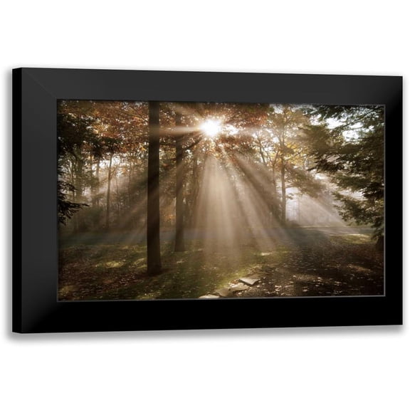 Dahlgren, Ann 14x11 Black Modern Framed Museum Art Print Titled - A New Day I