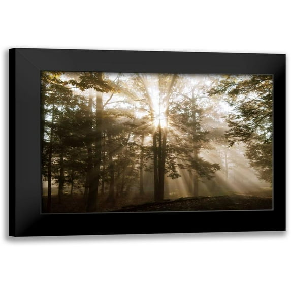 Dahlgren, Ann 18x13 Black Modern Framed Museum Art Print Titled - A New Day II