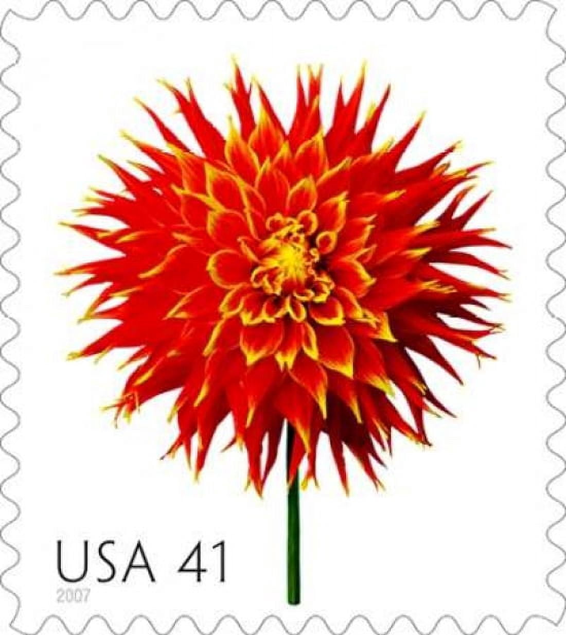 Dahlia 41 Canvas Art - US POSTAL SERVICE (24 x 24)
