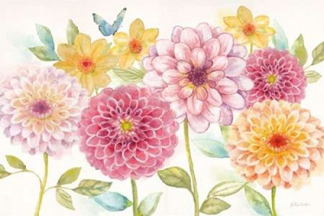 Dahlia Garden Landscape Canvas Art - Cynthia Coulter (12 x 18)
