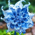 thumbnail image 1 of Dahlia, Low Maintenance - Easy Grow - Ideal for Beds Borders, Plant Pots & Planters, 1 of 2