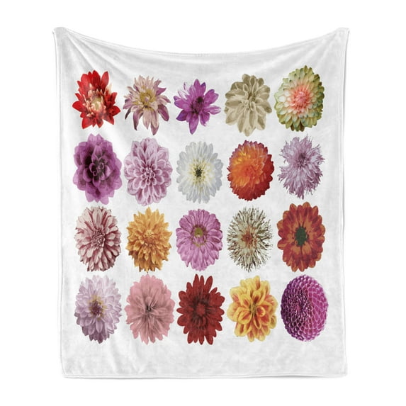 Dahlia Soft Flannel Fleece Blanket, Floral Types Round Shape Petals Dahlias with Anemone Flowered Gardening Fresh Flora, Cozy Plush for Indoor and Outdoor Use, 50" x 60", Multicolor, by Ambesonne
