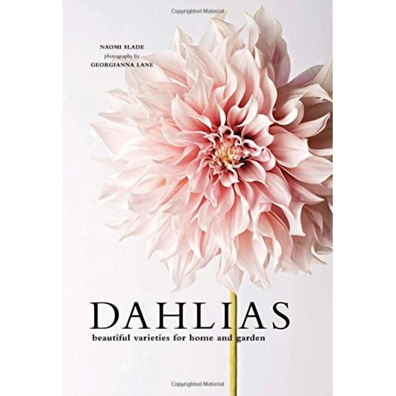 Dahlias: Beautiful Varieties for Home  Garden