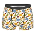 thumbnail image 1 of Daiia Autumn Pumpkins Blooms Men's Underwear Boxer Briefs, Cotton Stretch Moisture-Wicking Underwear-Small, 1 of 9