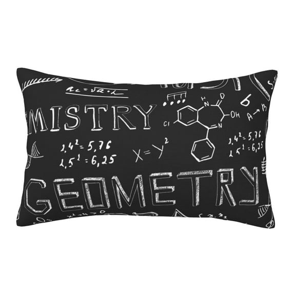 Daiia Black Scientific Bedding Waterproof Pillow Protector Zippered Queen – Bed Bug Proof Pillow Encasement-20"x30"