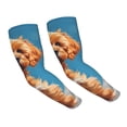 thumbnail image 1 of Daiia Blue Sky Cloud Puppy UV Sun Protection Arm Sleeves - Cooling Compression Arm Sleeve - Sports & UV Arm Sleeves for Men & Women, 1 of 8