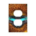 thumbnail image 1 of Daiia Butterfly Alighted On Sunflowers Pattern Decorator Wall Plate Child Safe Outlet Cover, Switch and Outlet Covers,Size 1-Gang 5.0" x3.0" , Polycarbonate Thermoplastic-Style S, 1 of 6