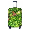 thumbnail image 1 of Daiia Cactus And Succulents Luggage Cover, Thickened Washable Travel Luggage Covers, Elastic Unique Baggage Covers for 18-20 inch Luggage-Large, 1 of 9