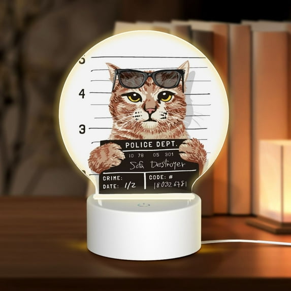 Daiia Cat Holding Mugshot Sign Pattern Acrylic Night Light, LED Touch Light, Bedroom Night Light, Soft Glowing Lamp Perfect Gift for Mother's Day, Birthday, or Christmas
