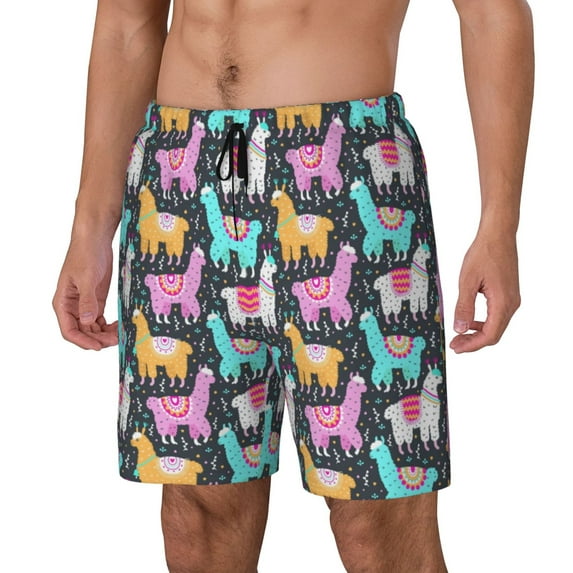 Daiia Colorful Alpaca Mens Swim Trunks Swim Shorts Quick Dry Swim Shorts with Mesh Lining Pockets-Small