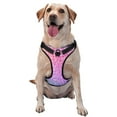 thumbnail image 1 of Daiia Colorful Glittersdog Harness, No-Pull Pet Harnessith 2 Leash Clips,Cat Harness And Leash Set,Step In Dog Harness, For Large Dogs,No Accessories Included, 1 of 1