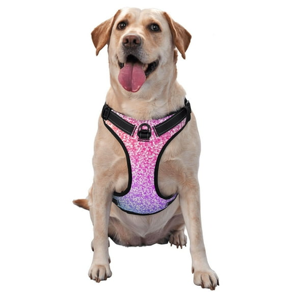 Daiia Colorful Glittersdog Harness, No-Pull Pet Harnessith 2 Leash Clips,Cat Harness And Leash Set,Step In Dog Harness, For Large Dogs,No Accessories Included