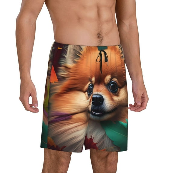 Daiia Colorful Leaf Chihuahua Mens Woven Stretch Pajama Short,Short Pajama Pants-X-Large