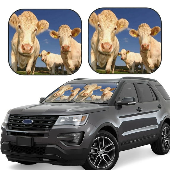 Daiia Cows Cattles 2PCS Car Windshield Sun Shade, Foldable Sun Shield for Car Front Window, Auto Sun Blocker Visor Protector Universal for Truck SUV Pickup-Small