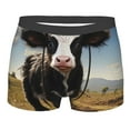 thumbnail image 1 of Daiia Cute Prairie Cow Men's Underwear Boxer Briefs, Cotton Stretch Moisture-Wicking Underwear-Large, 1 of 9