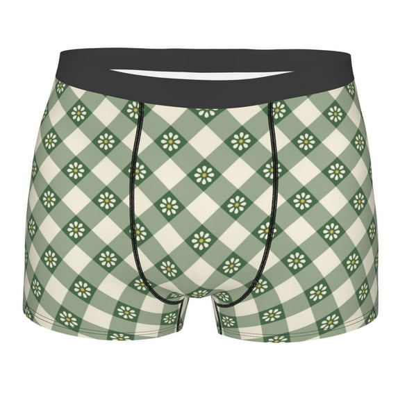 Daiia Daisy Plaid Green Men's Underwear Boxer Briefs, Cotton Stretch Moisture-Wicking Underwear-X-Large