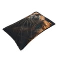 thumbnail image 1 of Daiia Dapper Cat in Sunglasses Bedding Waterproof Pillow Protector Zippered Queen – Bed Bug Proof Pillow Encasement-20"x30", 1 of 6