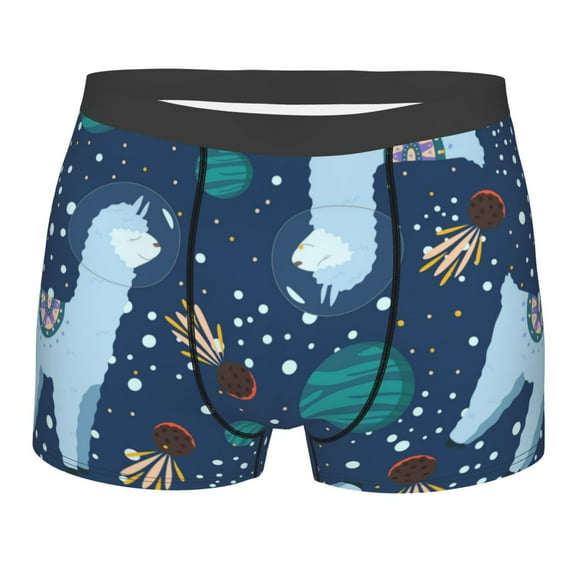 Daiia Design Name All Over Print Boxer Briefs -Size Name Multicolor Ultra Soft Performance Boxer Briefs