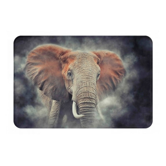 Daiia Design Name Door Mat Outdoor Indoor Hello Doormat, 16x24 Inch,Entry Rug Non-Slip Washable Indoor Door Mat, Small Oriental Accent Throw Rug For Bedroom Kitchen Entryway Bathroom