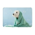 thumbnail image 1 of Daiia Dog Wrapped in Towel Front Door Mat, Heavy Duty Durable Welcome Mat for Outdoor Indoor, Dirt Trapper Waterproof Super Absorbent Door Mat, 16" x 24", 1 of 9