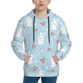 thumbnail image 1 of Daiia Easter Rabbit for Boys Fashion Hoodies & Sweatshirts with Kangaroo Pocket,Hooded Sweatshirt for Kid, Breathable& Moisture Wicking-Small, 1 of 6