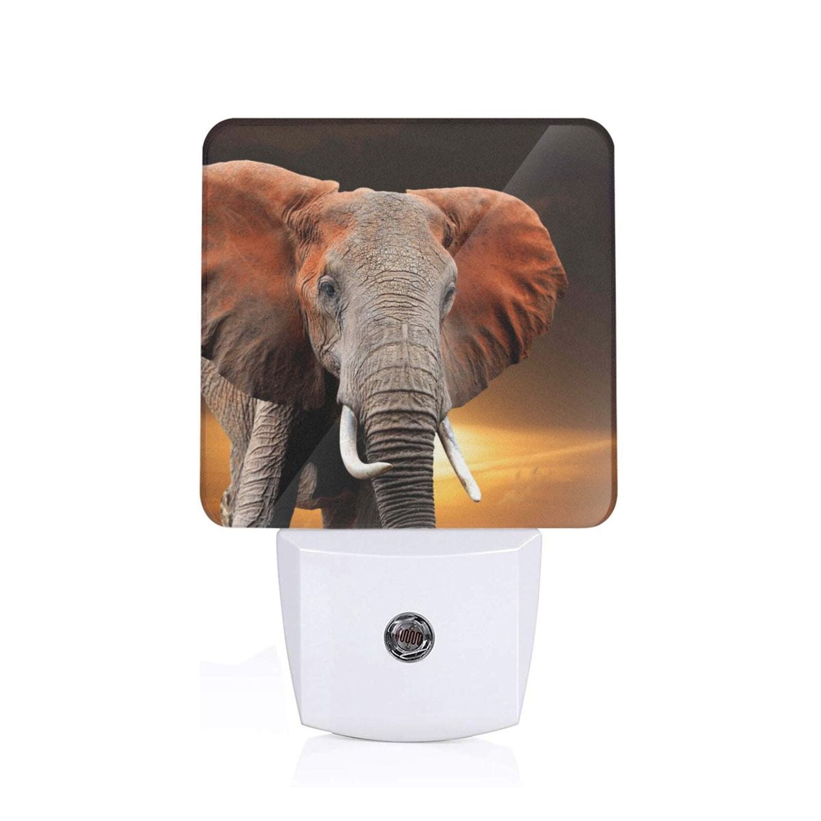 Daiia Elephant Sunset in Kenya Pattern Plugin LED Backlit Night Light