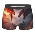 thumbnail image 1 of Daiia Fire Sky Dragon Men's Underwear Boxer Briefs, Cotton Stretch Moisture-Wicking Underwear-X-Large, 1 of 9
